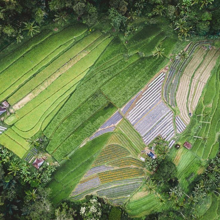 Outdoor terrace seating suitable for families in Amsterdam